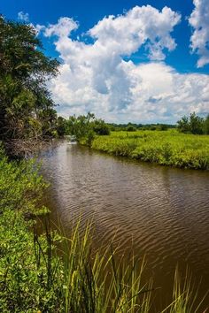 a river running through a lush green field under a blue sky with fluffy white clouds