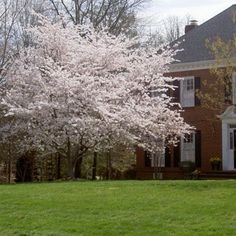 a large red brick house sitting next to a lush green field filled with flowers and trees