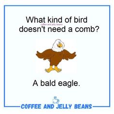 an eagle with the words coffee and jelly beans on it's back ground, which reads what kind of bird doesn't need a comb?