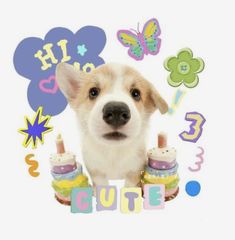 Cute Puppy, A Puppy, Happy Birthday, Birthday