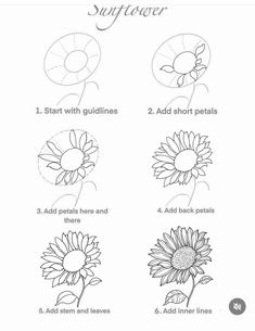 how to draw sunflowers step by step