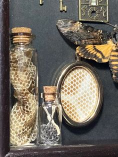 an insect is on display in a glass case next to some bottles and other items