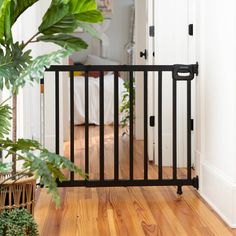 a baby gate in the middle of a room with wooden flooring and potted plants