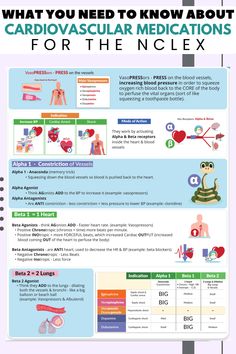 the info sheet shows what you need to know about cardiovascular medications for the nclex