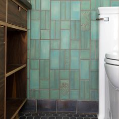 a white toilet sitting next to a wooden shelf