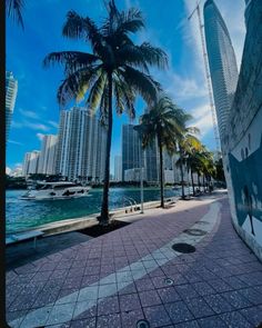 the palm trees are next to the water in front of some tall buildings and boats