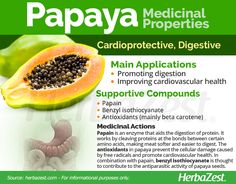 Papaya is a fruit beloved the world over for its sweet, tropical taste and big nutritional value. Learn more about papaya's history and current uses. Popular Diets, Turmeric Benefits, Proper Nutrition, A Fruit, Natural Medicine, Fitness Nutrition, Natural Food