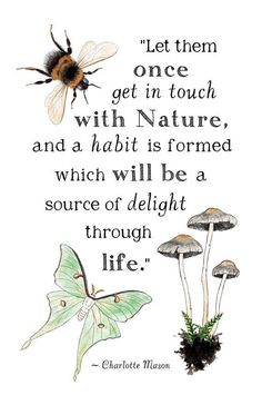 a quote from charlotte mason about nature and the life of a bee, which is surrounded by mushrooms