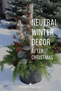 a planter filled with pine cones and greenery in the snow, text reads neutral winter decor after christmas