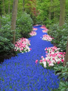 blue and pink flowers are in the middle of a path that is surrounded by trees