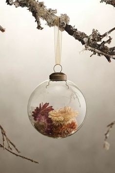 a glass ornament hanging from a tree branch with dried flowers in the center