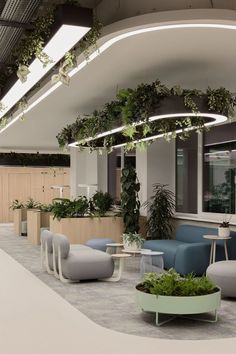 an office lobby with plants growing on the ceiling and chairs around tables in front of them