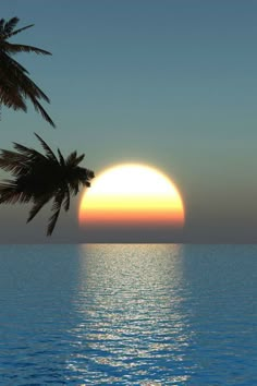 the sun is setting over the ocean with two palm trees in front of it,