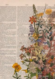 an old book page with flowers on it