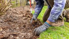 a man digging in the ground with gardening gloves on