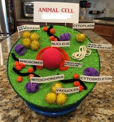 an animal cell is shown on top of a table with name tags attached to it