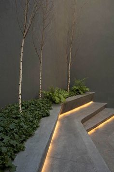 an outdoor area with stairs and plants on the side, lit up by led lights