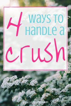 white flowers with the words 4 ways to handle a crush in pink overlaying it