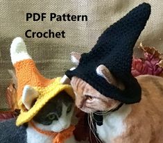 a cat wearing a knitted hat and scarf next to another cat in a crochet costume