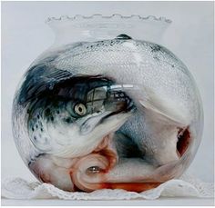 a fish in a glass bowl with its mouth open and it's head inside