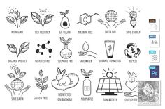 an image of different types of plants and things that are labeled in the text below