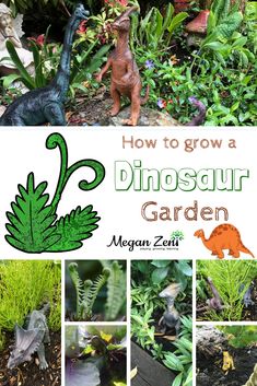 how to grow a dinosaur garden with pictures of dinosaurs and plants in the background text reads, how to grow a dinosaur garden