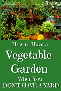 the cover of how to have a vegetable garden when you don't have a yard