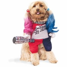 a dog dressed up as a clown holding a bat and wearing a t - shirt