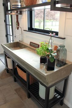 a kitchen with a sink and some plants on the counter