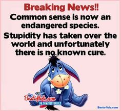 a cartoon character with the words breaking news, common sense is now an endangered species