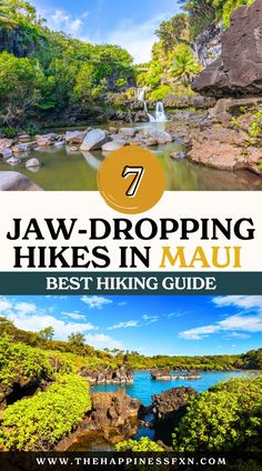 7 Jaw-Dropping Hikes in Maui You Need to See Best Hikes In Maui Hawaii, Best Maui Hikes, Maui Things To Do, What To Wear In Maui, Things To Do In Maui Hawaii, Hiking In Maui, Maui Excursions, Maui Hawaii Aesthetic