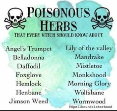 Poisonous Herbs, Witch Herbs, Tree Identification, Wiccan Magic, Witch Spirituality, Magic Spell Book, Cheat Codes