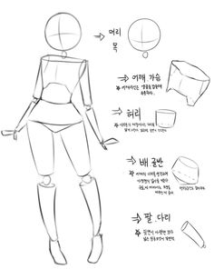 an anime character's body is shown with different angles and shapes, including the head