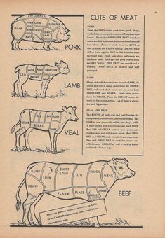 an old book with diagrams of cuts of meat