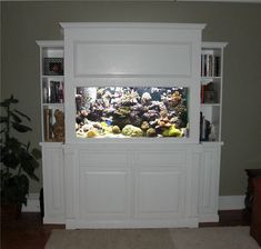 a fish tank sitting on top of a white entertainment center