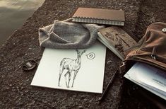 an animal is laying on the ground next to some books and a purse with a pen