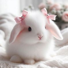 a small white rabbit with pink bows on its head sitting on a blanket next to flowers