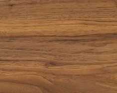 a close up view of a wood grain textured surface that looks like it has been cut in half