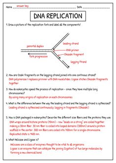 a worksheet with the words and symbols for an experiment on how to use data