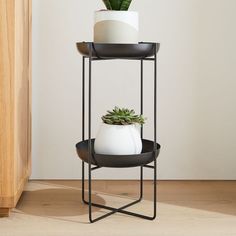 three tiered plant stand with potted plants on each shelf and one small succulent in the middle