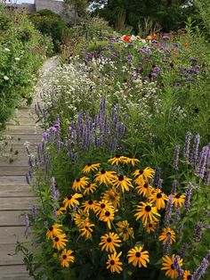 a wooden walkway surrounded by lots of wildflowers and other flowers in the background