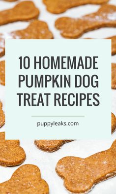 homemade pumpkin dog treat recipe with text overlay