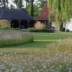 the house is surrounded by tall grass and trees