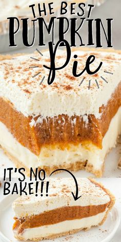 the best pumpkin pie it's no bake