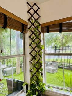 a window with some plants in it