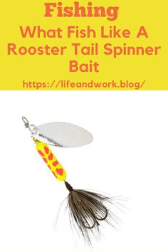 a yellow and red fish lure with the words fishing what fish like a rooster tail spinner