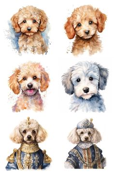 four dogs in different outfits are shown on a white background, with one dog's head