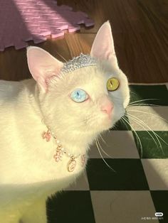 a white cat with blue eyes wearing a tiara