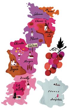 the wine map of france with different wines in each region and their names on it