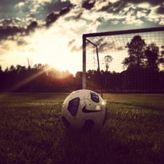 a soccer ball sitting on top of a lush green field